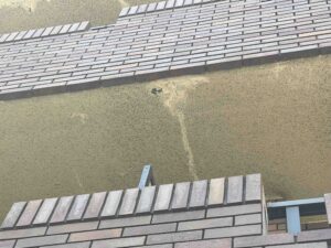 エフロ